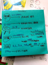 薬学部